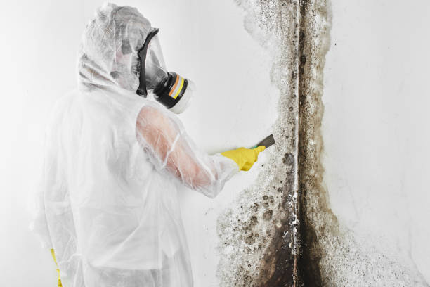 Water Damage Restoration in Colfax, WA