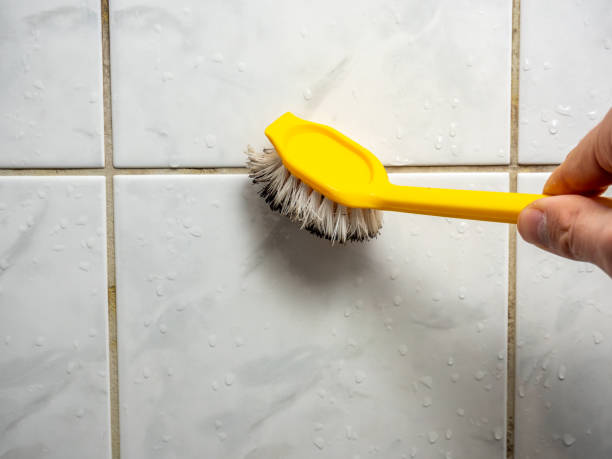 Best Residential Mold Removal  in Colfax, WA