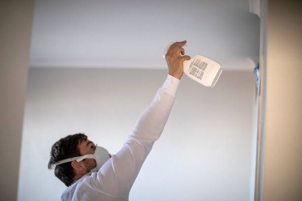 Best Mold Removal Near Me  in Colfax, WA