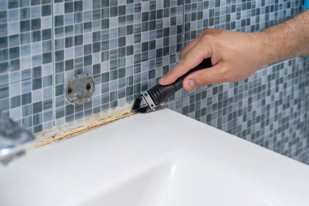 Best Commercial Mold Removal  in Colfax, WA