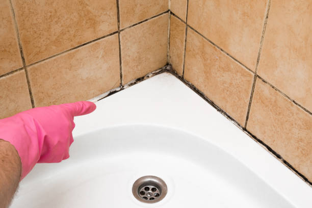 Best Emergency Mold Removal  in Colfax, WA